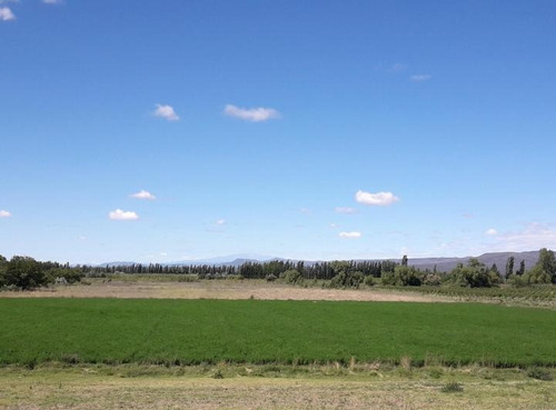 Imagen 13 de 19 de Finca Con Casa En Venta En San Rafael Mendoza, Rama Caida