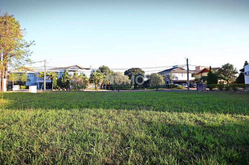 Imagem 3 de 4 de Terreno À Venda Em Alphaville - Te005838