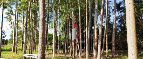 Chácara À Venda, 5220 M² Por R$ 583.000,00 - Cercado - Araçoiaba Da Serra/sp - Ch0014