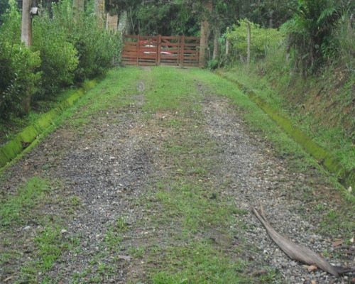 Imagem 4 de 30 de Excelente Sítio Rico Água Com Nascente Própria Em Juquitiba. - 76 - 32982783