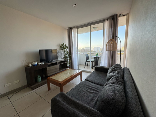 Arriendo Marzo A Dic 3d 1b Amoblado Gc E Internet Incluido