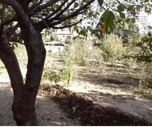 Terreno Residencial À Venda, Parque Dos Pomares, Campinas - Te2114. - Te2114