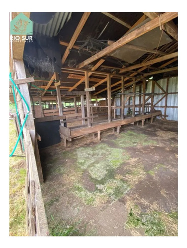 Parcela 3,77ha. Con Casa, Bodega, Piscina, Quincho (oferta)