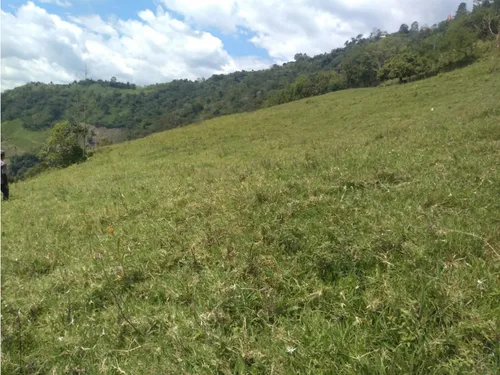 Vendo Finca Ganadera Cerca A La Cabecera De Armenia Mantequilla Ant.