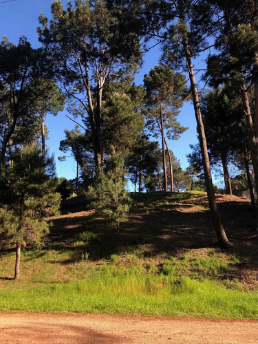 Terreno En Club Del Lago. 1471 M2