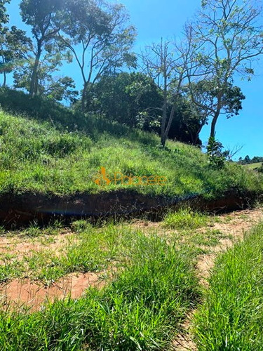 Imagem 15 de 16 de Rural Chacara - 234221-v