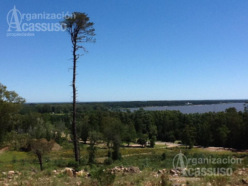 Imagen 5 de 19 de Punta Del Este - Chacra Venta Usd 1.100.000