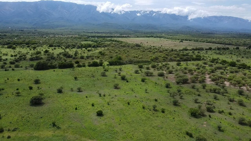 Se Vende Campo De 53 Hectareas En Guanaco Boleado,,traslasierra!!!