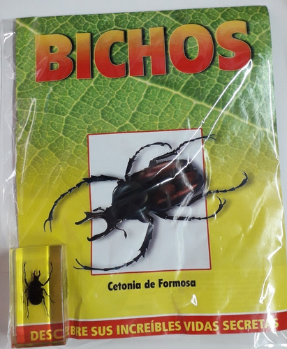 Bichos Cetonia De Formosa + Fasciculo - Rba