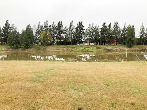 Imagen 4 de 5 de Terreno En Venta Ubicado En San Benito, Villanueva (tigre)