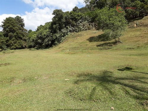 Imagem 13 de 29 de Sítios À Venda Em Mairiporã/sp - Compre O Seu Sítios Aqui! - 1459402