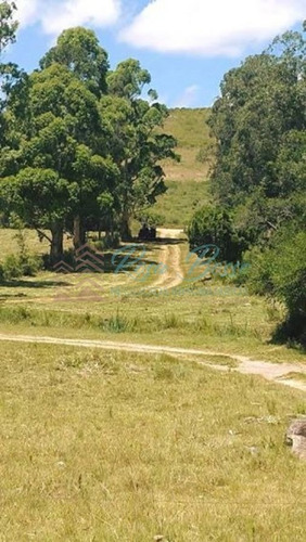 Imagen 13 de 13 de Chacra A 15 Minutos Punta Ballena. - Maldonado
