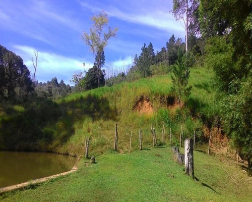 Chácara - 0139 - 32820348