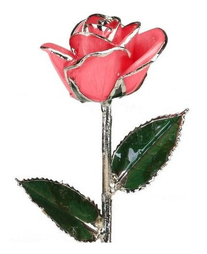 Rosa De Tallo Largo Platino Lacado Rosa Rosa Genuina En Caja