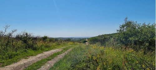 Imagen 18 de 29 de Venta Campo Falda Del Cañete-8,5 Has- Con Vista