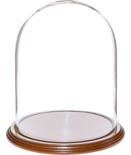 Plymor 8  X 10.25  Campana De Cupula De Exhibicion De Vidr