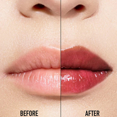 Dior Addict Lip Maximizer 024 Intense Brick