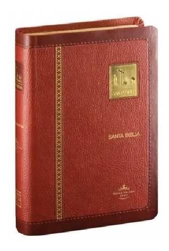 Biblia Reina Valera 1960 Concor Indice Ed. Especial Bordo