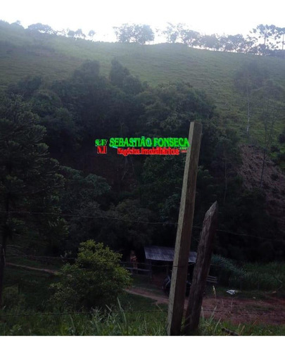 Imagem 9 de 15 de Belo Sítio Em Marmelópolis - Mg - 1247