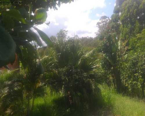 Imagem 12 de 14 de Chácara À Venda No Fazendinha - Salto De Pirapora/sp - Ch00802 - 70618665