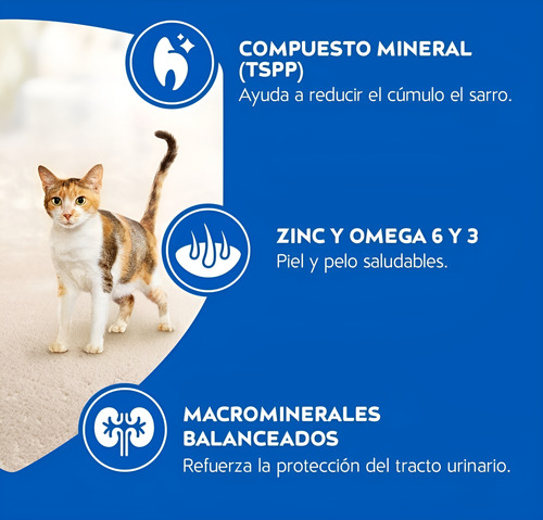 Cat Chow Gatitos 24 Kilos