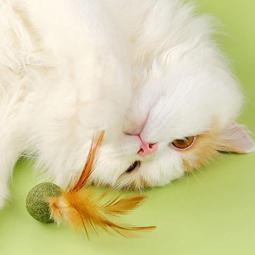 Juguetes Para Gatos Catnip Bolas Mágicas Para Gatos Bola Com