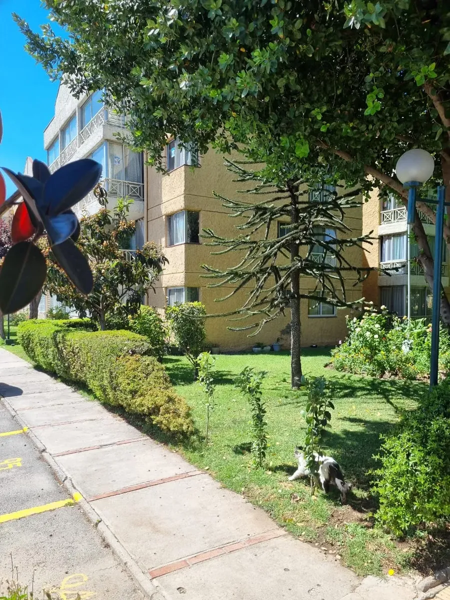 Imagen 2 de 14 de Catenaria Vende En Av. Pajaritos - Maipú (dat047)