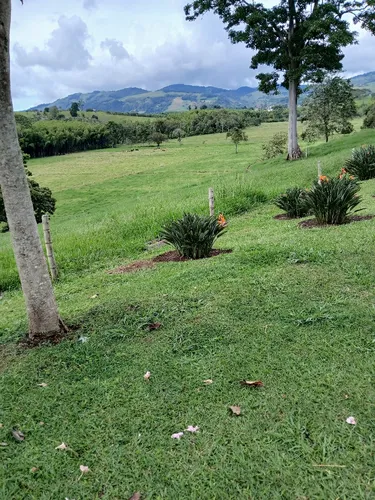 Vendo Finca Ganadera En Restrepo Valle