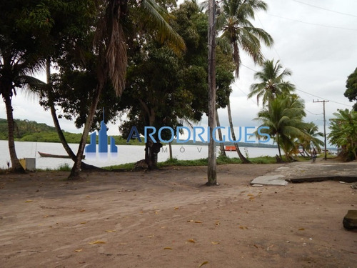 Imagem 16 de 28 de Terreno Ilha À Venda, Ilha Do Tanque, Em Barra Grande - Frente Praia E Contra Costa, Navegável - Te00150