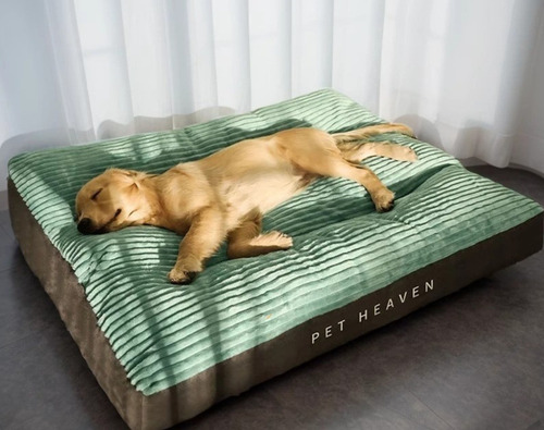Cama Colchon Ortopedico Premium Extra Grande Perro 100 Libra