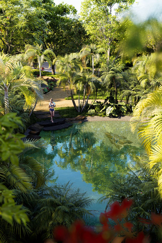 Terrenos Residenciales Santuario Uh May En El Corazón De La Selva Maya, Tulum.