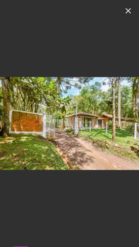 Imagem 10 de 15 de Terreno/loteamento À Venda Por R$ 440.000,00 - Quatro Barras / Pr - T 2057