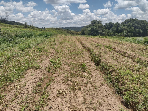 Imagem 19 de 21 de 03o- Inacreditável Terreno Em Uma Cidade Boa Pra Você