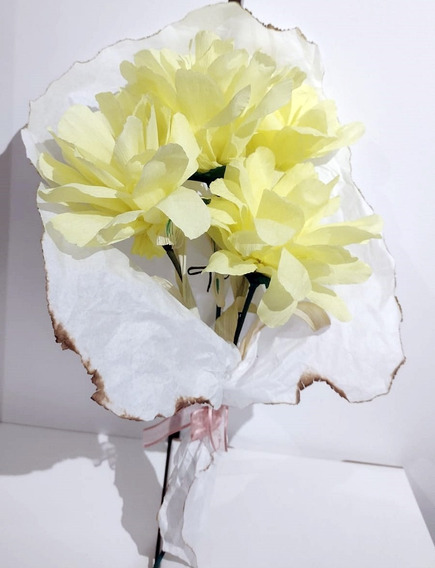 Papel Crepe Para Flores | MercadoLibre 📦