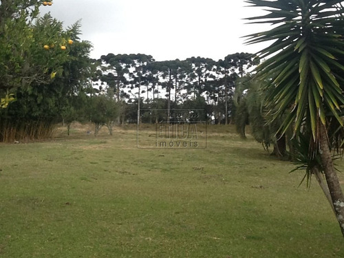 Imagem 4 de 30 de Chácara/fazenda/sítio Com 4 Dormitórios À Venda Por R$ 7.000.000,00 No Bairro Águas Claras - Piraquara / Pr - Ch1601