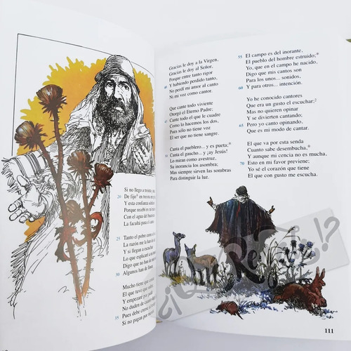 Libro Martin Fierro - Anotada Ilustrada Con Vocabulario -