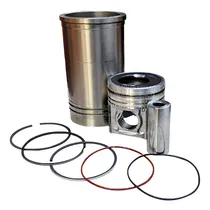 Comprar Conjunto Motor Retro Pala Liugong CLG 764a Yuchai Repuestos