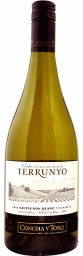 Vinho chileno Terrunyo Sauvignon Blanc 750ml Concha Y Toro