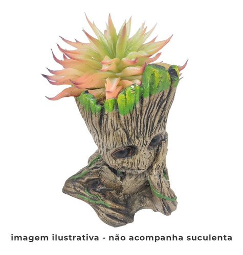 Enfeite De Resina Groot Grande Aquário E Suculenta