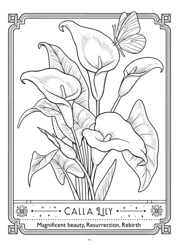 Language Of Flowers | Libro Anillado Colorear | Coco Wyo