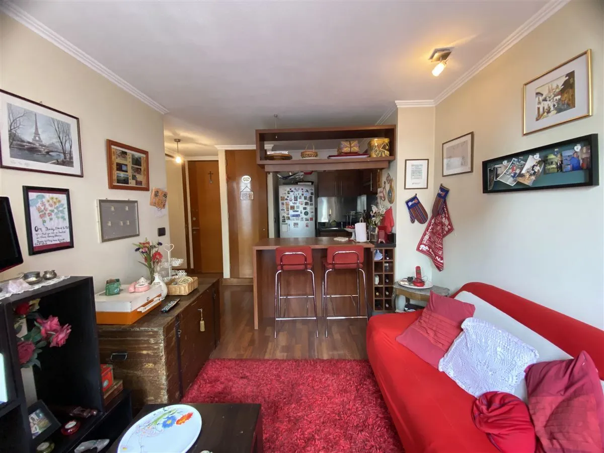 Imagen 5 de 15 de Departamento En Venta En Providencia