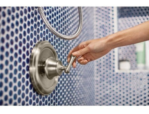 Moen Magnétix Regadera De Teléfono Para Ducha Plateado (Usado)