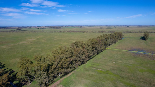 Campo En Venta Mixto 188ha San Andres De Giles