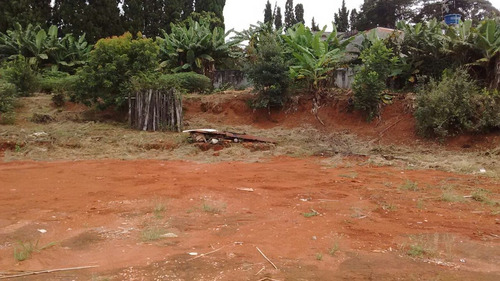 Imagem 8 de 14 de Área Para Posto De Gasolina - Suzano/sp