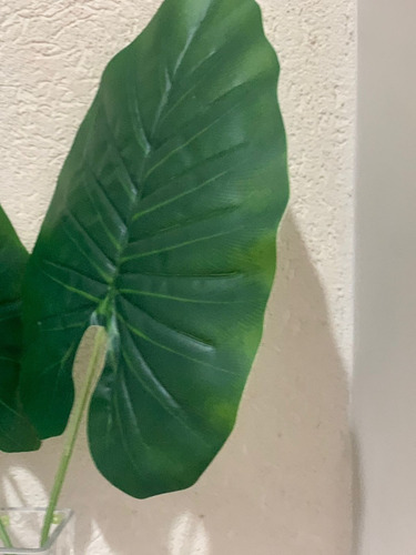 Planta Artificial Hoja Costilla De Adan Deco Interiores 61cm Color Pata de Elefante