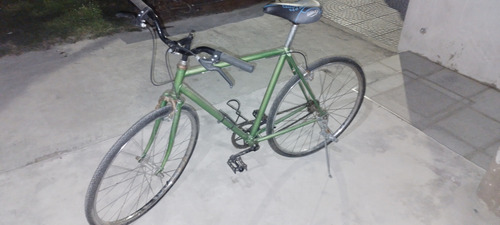 Bicicleta Pintada A Fuego Hermosa Verde (Usado)