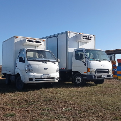 Imagen 3 de 5 de Transportes Fletes Refrigerados Congelados Camion Camioneta