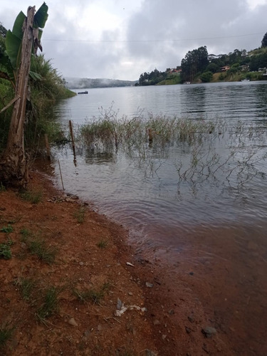 Imagen 7 de 15 de Finca En Venta -lago Calima