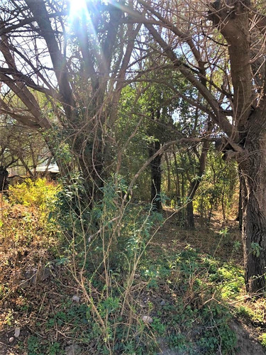 Imagen 6 de 8 de Lote En Venta En Barrio La Toma