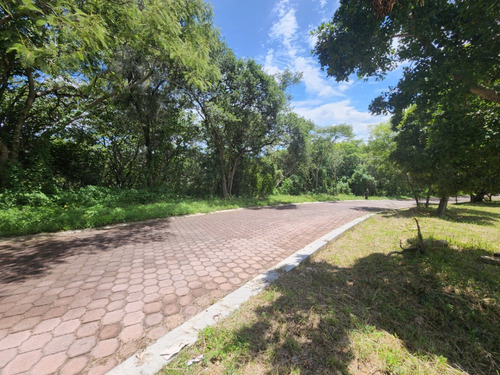 Venta Lote San Diego 54 Mz Xvi Muy Cerca De La Entrada Y De Las Amenidades Del Fracc Rancho San Diego Ixtapan De La Sal Edomex